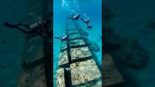 Ram Setu Reimagined...A sacred bridge beneath the waves ️ #viralvideo #sea