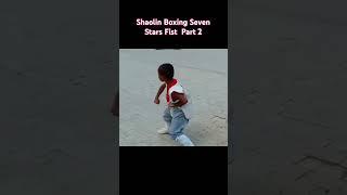 Shaolin Boxing Seven Stars Fist Part 2 #kungfu #shaolin #martialarts #neuquen