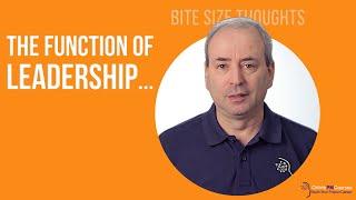 The Function of Leadership... | Bite Sized Project Management Thought from Ralph Nader