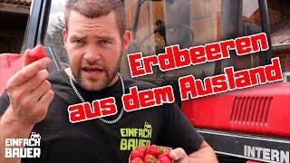 Erdbeeren aus dem Ausland