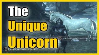 Find and Rescue Hazel the Unicorn - The Unique Unicorn Quest in Hogwarts legacy (Easy Tutorial)