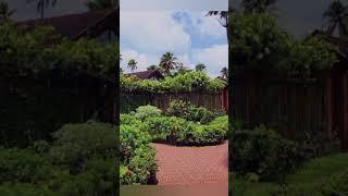 Abad Whispering Palms Resort Kumarakom Kerala #abad #kumarakom #kerala #kottayam #backwaters