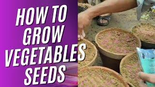 how can grow vegetables seeds easily