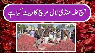 Red chilli price today Punjab|Lal mirch ka rate AJ ka|Surkh mirch rate today Pakistan