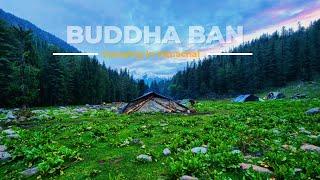 Camping in Forest-Himachal Pradesh | Buddha Ban | #himachalpradesh #campinginindia