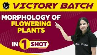 Morphology Of Flowering Plants in One Shot - NEET/Class 11th Boards || Victory Batch