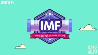 【金融百科】64. IMF 国际货币基金组织 (International Monetary Fund)