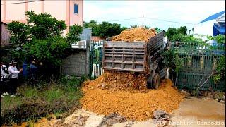 1DAY!! Full Action Size 10x20M Land Filling Up Dozer D31P Push Stone & Truck 5T Unloading