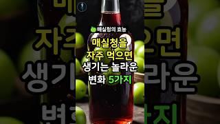 매실청에 이런 효능까지? 꼭 확인해보세요