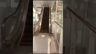 AVENUE MALL FULL INTERIOR BEAUTIFUL VIEW OF ALL FLOORS AND COMFORTABLE STAIRS LIFT ON VISIT,  #mall