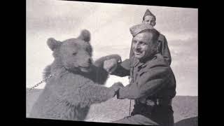 WOJTEK BEAR