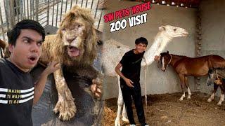 Sw pet house Waleed Ka Zoo Visit Kia  Or Dangerous Lion Sy Mila 