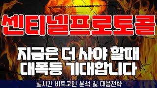 센티넬프로토콜 지금은 더 사야할때! 대폭등 기대합니다