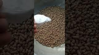 cattle feed formula DAY 1 goldy dairy farm #dairyfarming #cattlefarm #cattlefeed #motivation