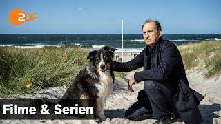 Nord Nord Mord – Sievers und der verlorene Hund | Filme & Serien | ZDF