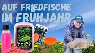 Angeln auf Friedfische im Frühjahr Method Feedern mit Erfolg Friedfischangeln mit Magic Baits