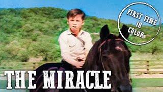 Fury - The Miracle | EP20 | COLORIZED | Full Episode | Classic Western Series