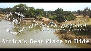 Shenton Safaris - Africa’s Best Place to Hide