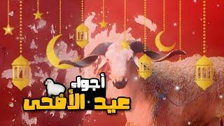 أجواء عيد الأضحى  الحولي كان غدي اهرس لي الباب …