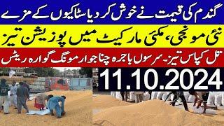 Gundam rate Munji Till Makki rates Today 2024 || New Munji Rates 2024 || Punjab,Sindh Wheat Rates