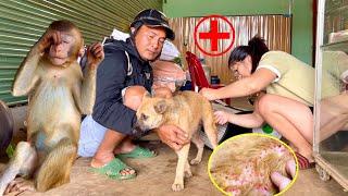 Dad & BiBi were worried and quickly took the puppy to the vet for a check-up