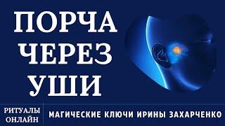 ПОРЧА ЧЕРЕЗ УШИ. ПОРЧА ГЛУХЕЯ. ВОСПАЛЕНИЯ, ГНОЙ, ПРОБКИ. ЗУД. ЗВОН. ШУМ.