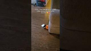 My daughter became a tiny robot  #robot #longdistance #parents #home