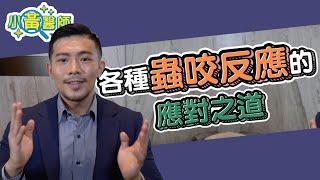 紅 腫 癢 過敏？小心夏秋 蟲蟲危機 ！ 蟲咬反應的應對之道【小黃醫師 黃幼鳴】