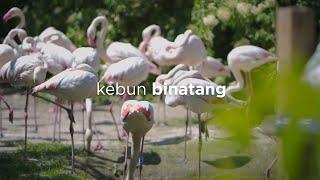 AKHIRNYA KEBUN BINATANG BELANDA BUKA LAGI! TAPI... | REZZVLOG