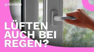 Lüften bei Regen: Wie sinnvoll ist das wirklich, um die Luftfeuchtigkeit zu senken