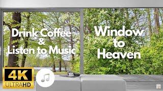 Window to Heaven, Calming Music, Relax with a Cup of Coffee and Nature, Stress Relief, Chill, 4K