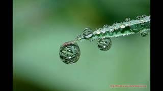 물방울 접사촬영,droplet close-up,물방울 사냥,물방울 사진,물방울,접사,심포토,