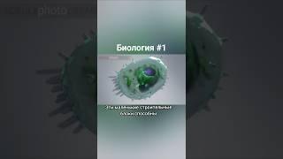 Биология за 360 секунд #Биология #наука #факты #научпоп #животные #Хамибин