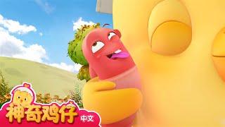 神奇鸡仔 9~12 | 30分 | 卡通動畫 | 好習慣卡通動畫 | Como Kids TV