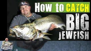 HOW TO catch BIG JEWFISH