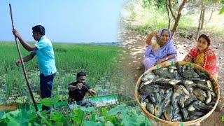 বিলের টাটকা কৈ মাছ ধরে আলু দিয়ে রান্না |