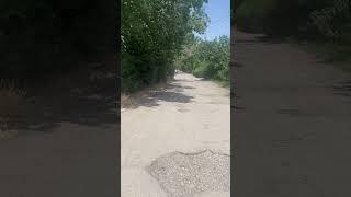 Слова Пророка Мухаммада да благословит его Аллах и приветствует | #араб