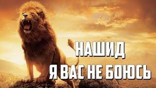 Нашид - Я вас не боюсь!