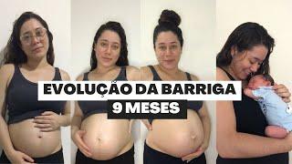 Evolução Barriga na gravidez | 9 meses em 3 minutos 