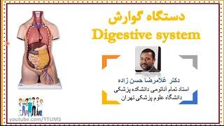 جلسه نهم : آناتومی دستگاه گوارش (Digestive system) | آموزش جامع آناتومی عمومی | پرفسور حسن زاده