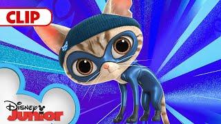 Cat Burglar Takes all the Cat Trees! ‍⬛ | SuperKitties | @disneyjr​