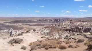 Petrified Forest National Park - Full Tour