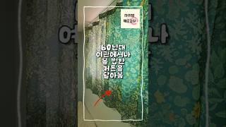 빈티지커튼으로 꾸며본 6평 원룸 인테리어 #roomtour #룸투어 #방꾸미기 #빈티지커튼 #자취방꾸미기 #원룸인테리어 #6평원룸 #자취방꾸미기 #현실원룸 #홈스타일링
