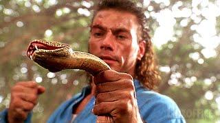 Jean Claude Van Damme punches a snake | Hard Target | CLIP  4K