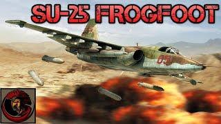 Su-25 Frogfoot - The Russian Flying Tank