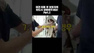 애견미용사 필수 영상 part.4 - 미리 이야기하면 진상 손님 예방 완료!