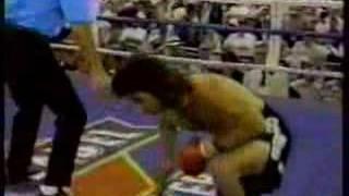 Kostya Tszyu highlights