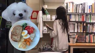 vlog. 채소 먹고 출근하는 일주일 일상.·˚ 직장인 브이로그