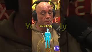 Does Creatine Improve Brain Function?  #jre #creatine #focus #healthy #fitness