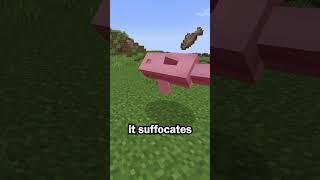 Dolphins are the dumbest mob in Minecraft